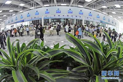 潮平兩岸闊 奮楫正當時——來自遼寧的高質量發展實踐信息咨詢服務